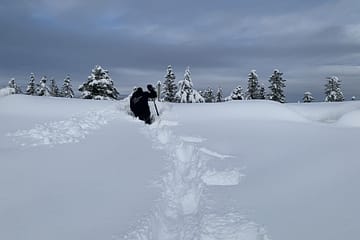 Per-Ole kjemper seg vei for å rydde taket over bassenget.